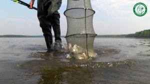 РЫБАКИ СКАЗАЛИ НЕ КЛЮЁТ, ЗАКИНУЛ УДОЧКУ И НЕ ПОВЕРИЛ СВОИМ ГЛАЗАМ! КЛЮЁТ, НЕ УСПЕВАЮ ВЫТАСКИВАТЬ!