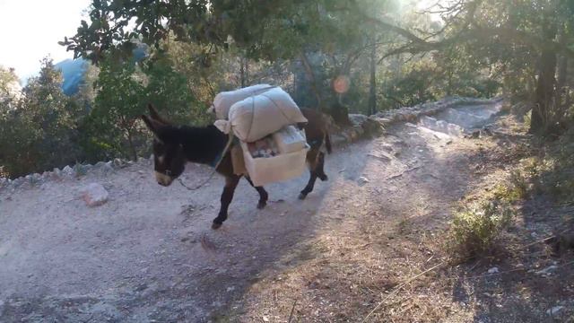 Gun course Palma Mallorca 2018 смотреть онлайн