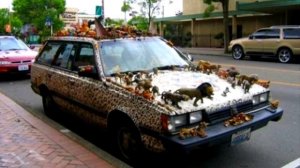 15 САМЫХ НЕОБЫЧНЫХ АВТО МИРА     интересный ролик