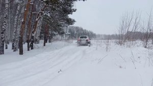 Рено Дастер на снегу как работает имитация блокировок