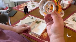 Apple iPhone 14 Pro Max 1TB Gold Unboxing