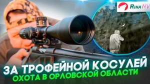 За трофейной косулей в Орёл! Трудовая охота лета 2023.