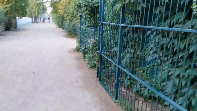 Зоопарк..Бердянск..супер..кошки смотреть онлайн