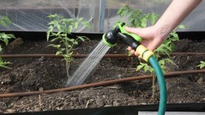 Аккумуляторный насос для полива из бочки Greenworks G24SWP обзор и полив