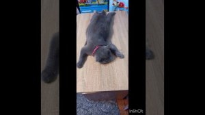 Первое видео на RuTube!