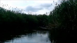 Брянская "Амазонка" - река Нерусса