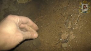 Вот что можно найти, если раскопать старинный фундамент! Шурф фундамента! Закладные монеты.