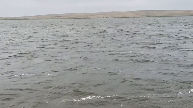 /Карповая рыбалка/27 часов для поимки карпа/Рыбалка в Казахстане на оз.Тайгакколь/Часть 2/