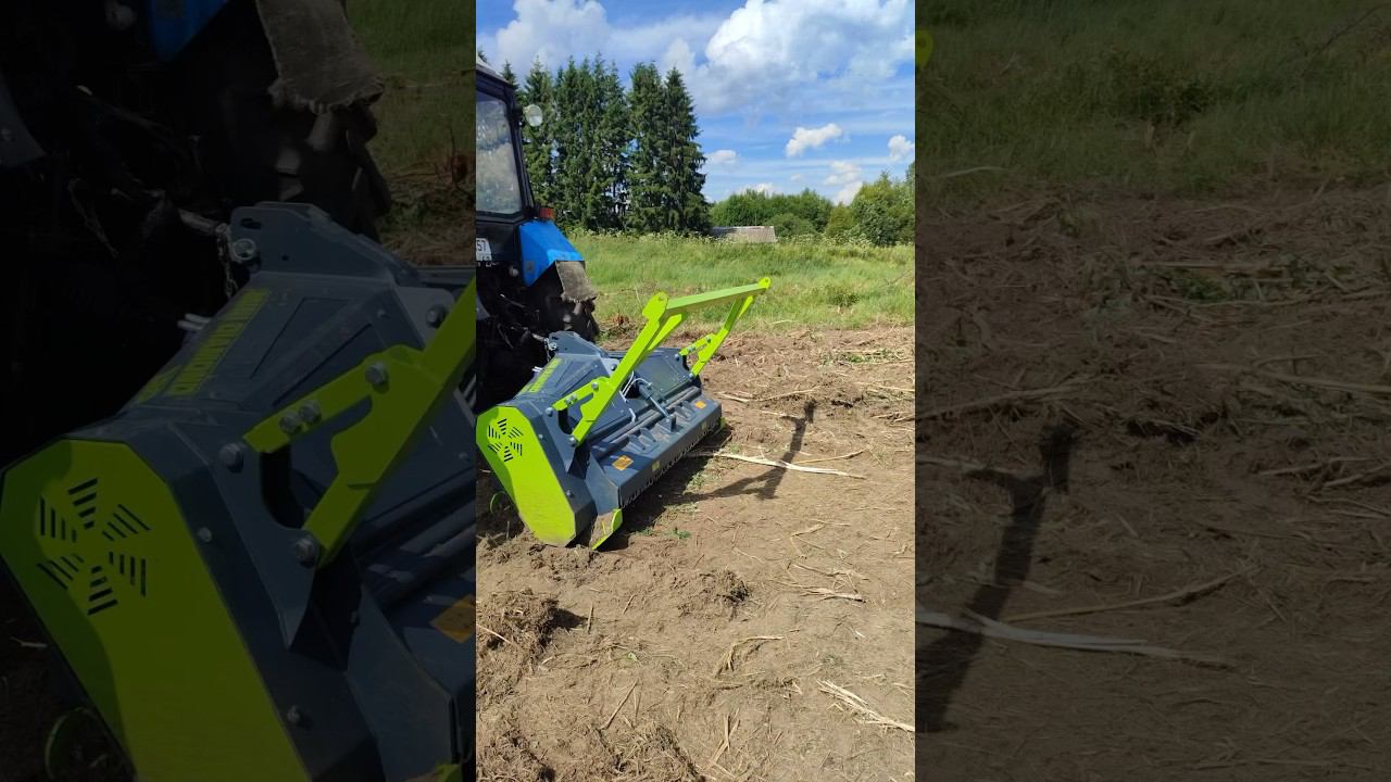 Мой старичок 1221 просто монстр #расчисткаучастка #беларус1221 #tractor #mulching #shorts