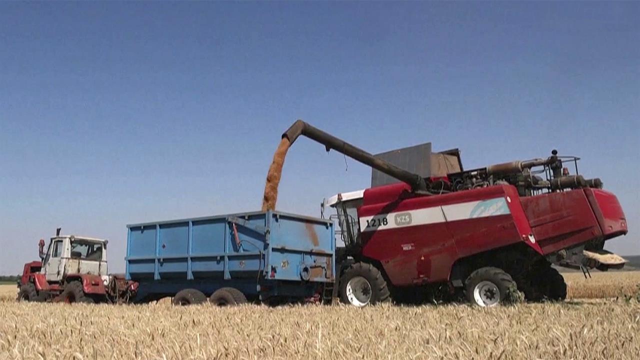 Еврокомиссия на ближайший месяц запрещает экспорт сельхозпродукции из Украины