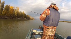 Комплект удилище St. Croix  LTES80XHXF2 и катушка SHIMANO CALCUTTA 201