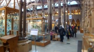 Как поступить в Оксфорд на Халяву или история про Oxford Brookes University