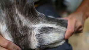 КрасУнт - производство унтов ручной работы