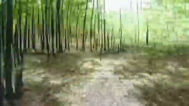 Hito Steyerl multimedia installation "This is the Future" смотреть онлайн