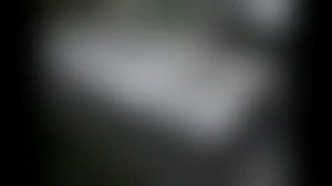 Простейший ламповый усилитель для гитары. Fender Champ (1 часть)