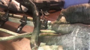 Не заводится ваз 2112/ Пахнет бензином и лужа под капотом/ Замена уплотнительных колец на форсунках