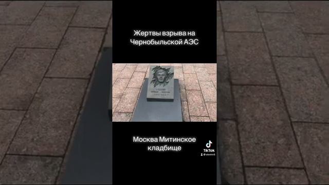 Жертвы ликвидации последствий Чернобыльской АЭС. Москва Митинское кладбище