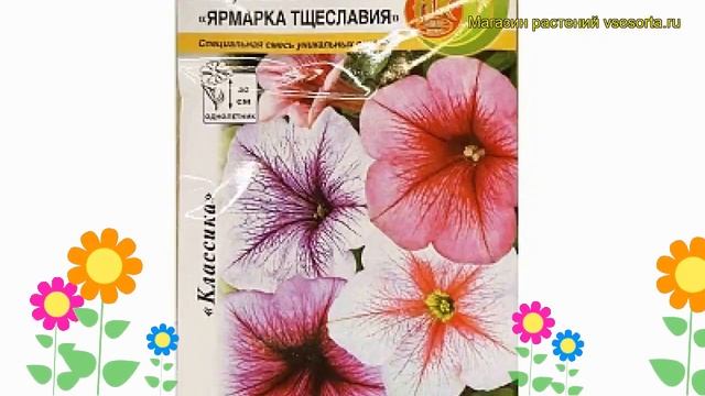 Петуния крупноцветковая Ярмарка Тщеславия F1. Краткий обзор, описание характеристик petunia hybrida смотреть онлайн