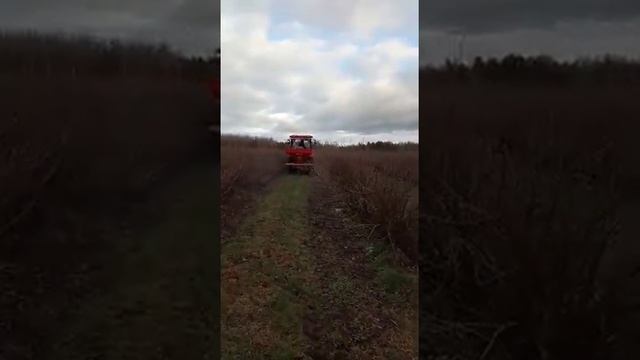 Внесение калийного удобрения