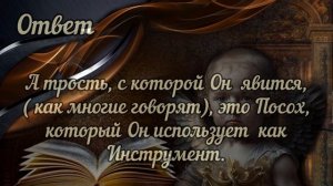 ГРЯДУЩИЙ ЦАРЬ ЯВИЛСЯ. Ответы на вопросы про Грядущего Царя. Грядущий Правитель. #грядущийцарь