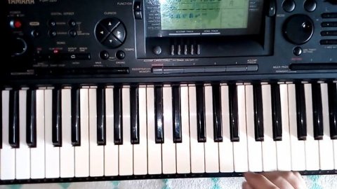 Синтезатор YAMAHA PSR-520. Старый клён.