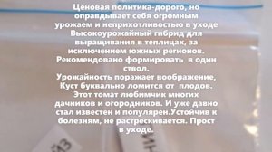 133 Помидора: 3. ПИНК ПАРАДАЙЗ ( Sakata Япония)