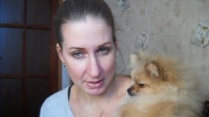 Как приучить щенка ходить в туалет на улицу ?