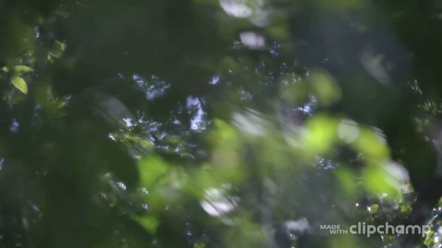 Chanting Mantra OM LAM VAM RAM YAM HAM смотреть онлайн