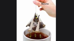 Отберите у фанатов фотошоп 1Часть?[Энеада]