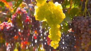 Таджикистан Весна.