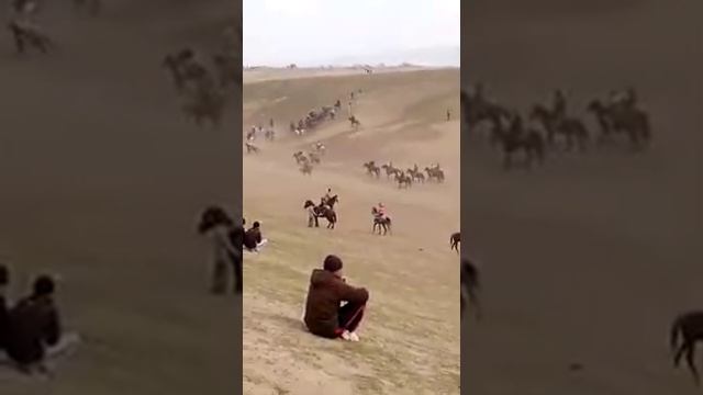 Буз каши дар н Ч балхй гулистон 6 насос к 4 смотреть онлайн