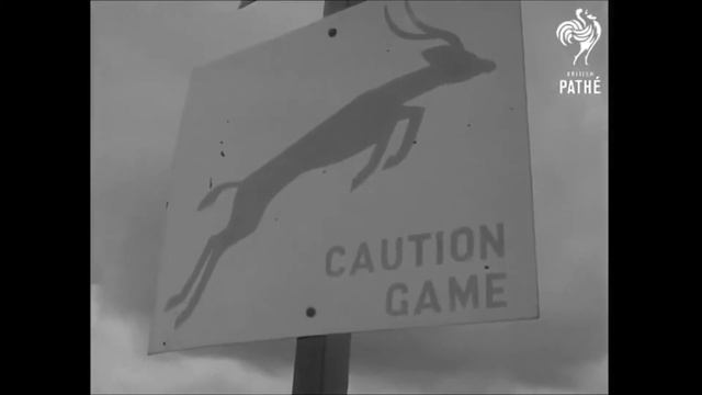 Safari Rally 1968 смотреть онлайн