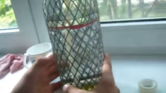 сифон  СССР первые пробы приготовления газированной воды