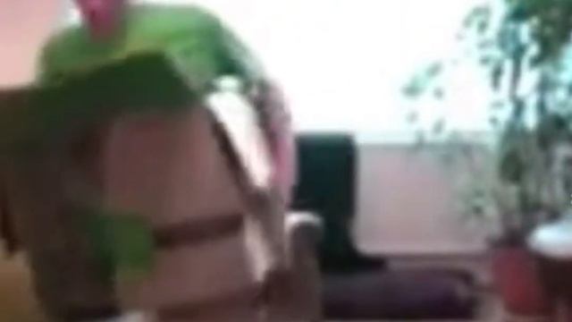 жук что ли майский пролетел? смотреть онлайн