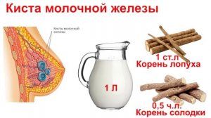 Свойства лопуха, которые должны знать все