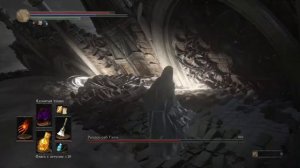 DARK SOULS 3 NG++ Рыцарь-раб Гаэль. Баг со стеной