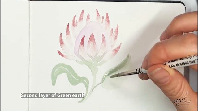 PAINT WITH ME: Watercolor KING PROTEA flower смотреть онлайн