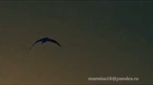 Лак. Лакку балай. Голос. Лакская песня. Народные песни. Скачать.Хит.Лакку маз. Дагестан.День Победы