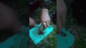 Хариус на реке Базаиха