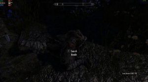 The Elder Scrolls V  Skyrim Special Edition 2021 4k Test 2 The Cat