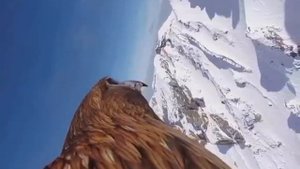 Захватывающий вид с высоты птичьего полёта