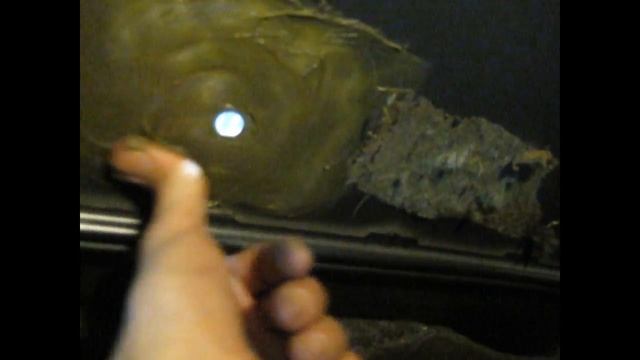 Тойота корса Установка Си Би радиостанции смотреть онлайн