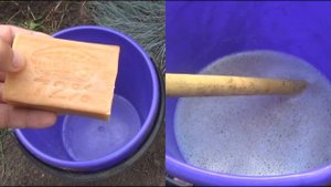 Как избавиться от тли на огороде! Это дешевое средство избавит на всегда.