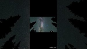 "Маленький принц. Кто тебя выдумал, Звёздная страна?" (Караоке Кавер)