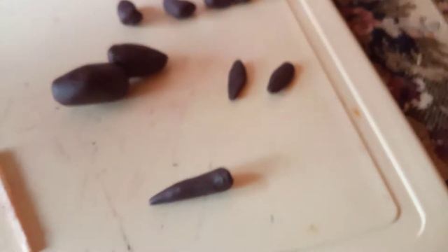 Лепим собачку из пластилина смотреть онлайн