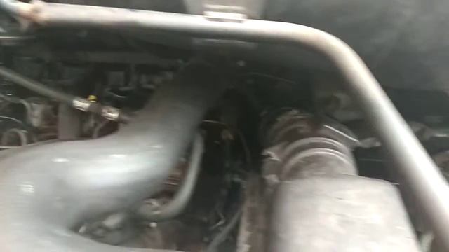 2.0 hdi RHW vs Rhz смотреть онлайн