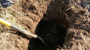 Тестируем глубинник Golden Mask Deep Hunter Pro 3SE