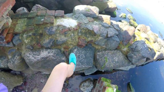 One day of Summer | Типичное лето в Калининграде