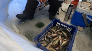 Зимняя рыбалка на мормышку с.Усть-Алтан