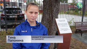 Сибирская лиственница с удивительной историей